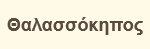 Θαλασσόκηπος
