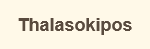 Thalasokipos